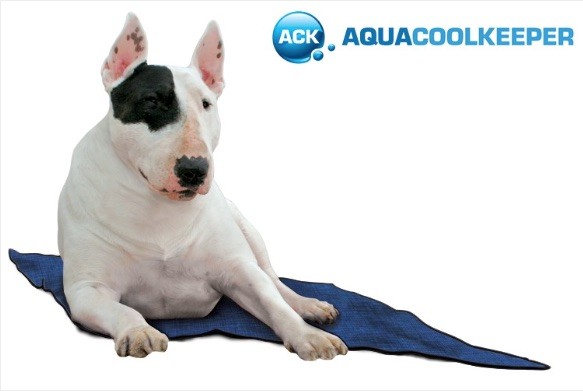 Milieuvriendelijk Blijven Ieder Aqua Coolkeeper Cooling Mat (M) (Aqua Coolkeeper) - Ligmatten -  Verkoelingsproducten - Honden - Webshop - Verwen je dier