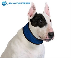 Aqua Coolkeeper Cooling Collar (XS+)