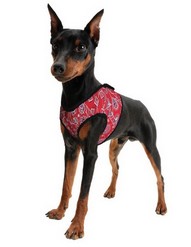 Aqua Coolkeeper Cooling Harness (L)