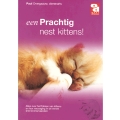 BOEK EEN PRACHTIG NEST KITTENS