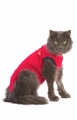 Medical Pet Shirt Kat rood 1-XXXS