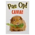 NAAMKAART CAVIA