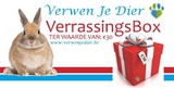 VerrassingsBox Konijn 30 euro