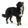 Pawz Hondenschoen XL (12 stuks)