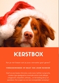 Kerstbox voor uw hond