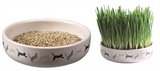 KATTENGRASZAAD IN KERAMIEK
