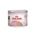 ROYAL CANIN MOTHER & BABYCAT
